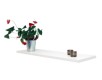 Home>it® hylde 60x30x2,50 cm. - Hvid
