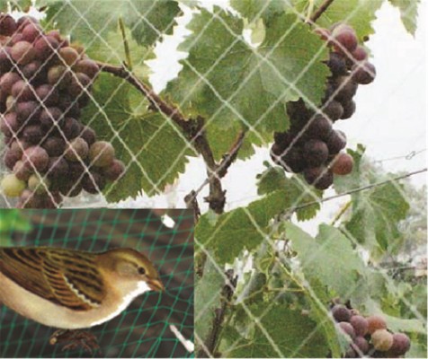 HOME It® fuglenet 15×15 mm x 2×5 meter