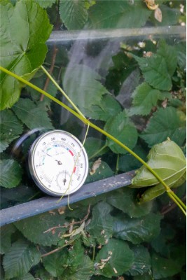 HOME it® termo-hygrometer 85 x 23 mm