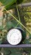 HOME it® termo-hygrometer 85 x 23 mm