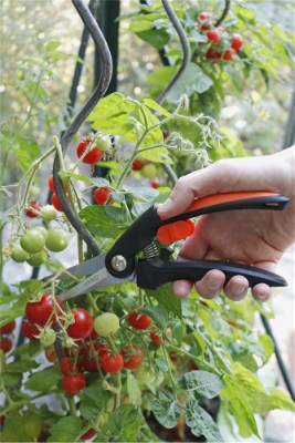 HOME It® Garden beskæresaks med lige skær