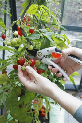 HOME It® Garden beskæresaks med buet skær