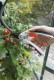 HOME It® Garden beskæresaks med buet skær