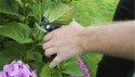 HOME It Garden® beskæresaks med buet skær