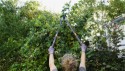 HOME It® Garden grensaks med buet sideskær og udveksling