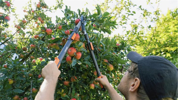 HOME It® Garden grensaks med buet sideskær og udveksling