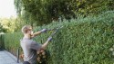 HOME It Garden® hækkesaks med bølgeskær og teleskopskaft