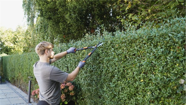 HOME It Garden® hækkesaks med bølgeskær og teleskopskaft
