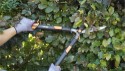 HOME It Garden® hækkesaks med bølgeskær og teleskopskaft