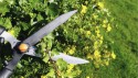 HOME It Garden® hækkesaks med bølgeskær og teleskopskaft